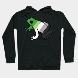 Pixel Aromantic Frog Hoodie